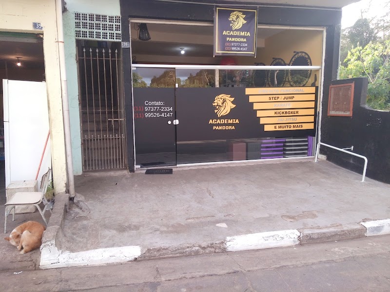 Centro de Treinamento Pandora - Artes Marciais - Academia em Cabuçu, Guarulhos/SP - Foto 4