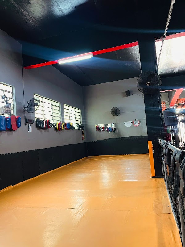 Trainer Academia - Academia em Gopoúva, Guarulhos/SP - Foto 4