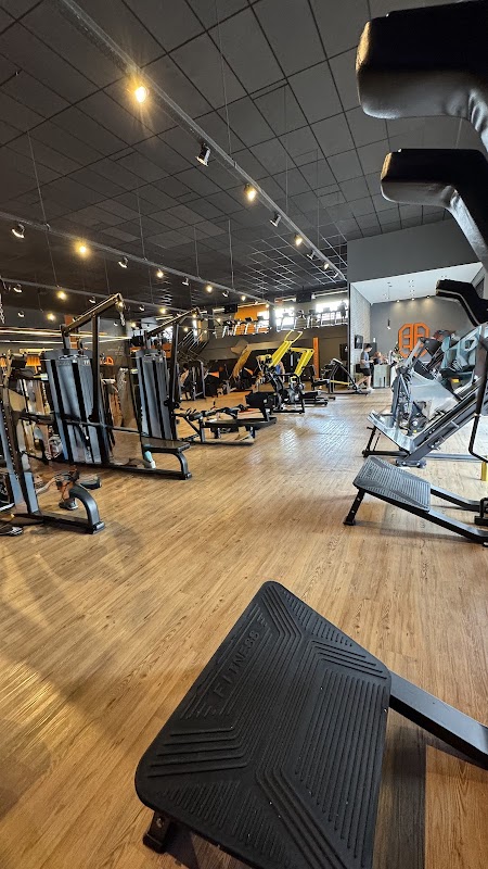 Panobianco Academia - Silvestre