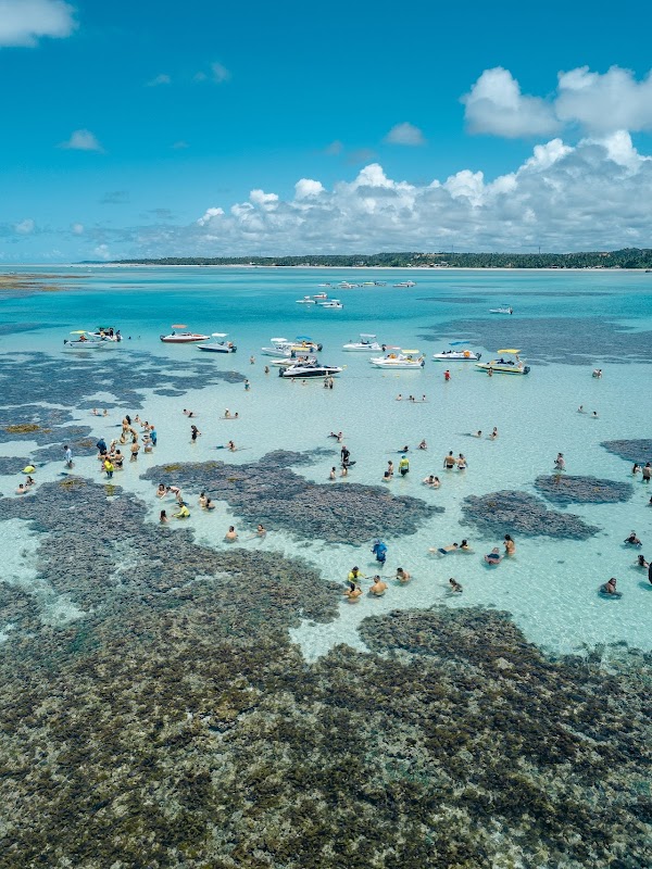 Foto 6 de Flytour Guarulhos