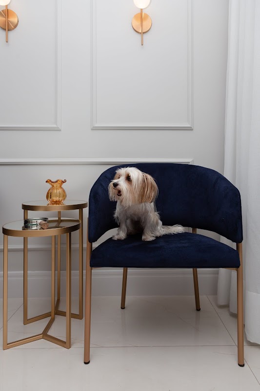 Foto 6 de MAAB Arquitetos