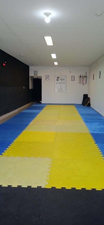 Ueda Jiu-Jitsu Polo São João