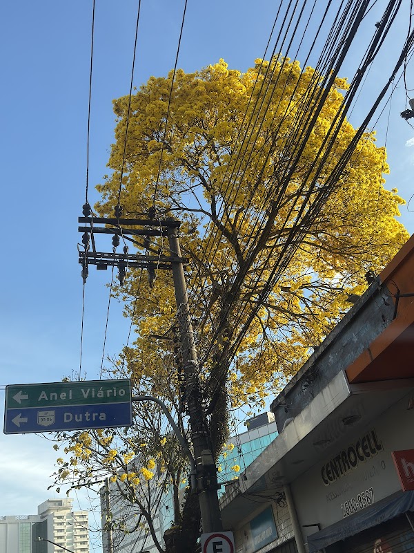 Foto 6 de Centro Cell