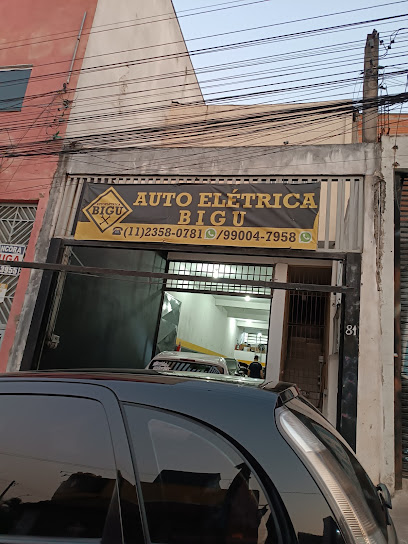 Auto Elétrica Bigu