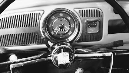 Rogerio e Pedrinho Auto Elétrico