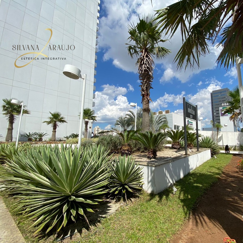 Clínica de Estética Silvana Araújo | Limpeza de Pele, Drenagem e Aplicação de Botox em Guarulhos - Clínica de Estética em Centro, Guarulhos/SP - Foto 4