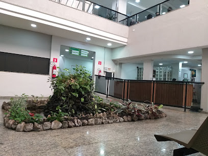Centro Ortopédico Guarulhos (COG)