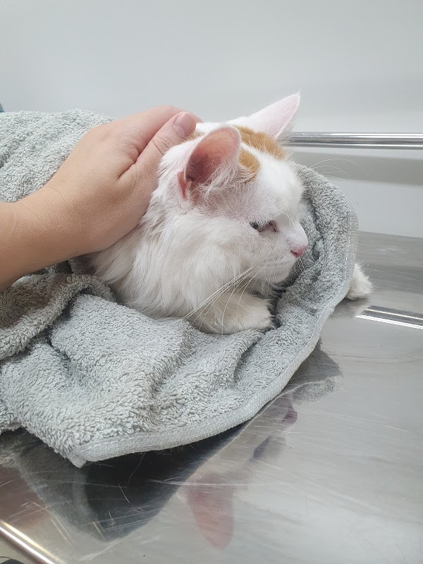 Hospital Popular Veterinário Wilson Grassi