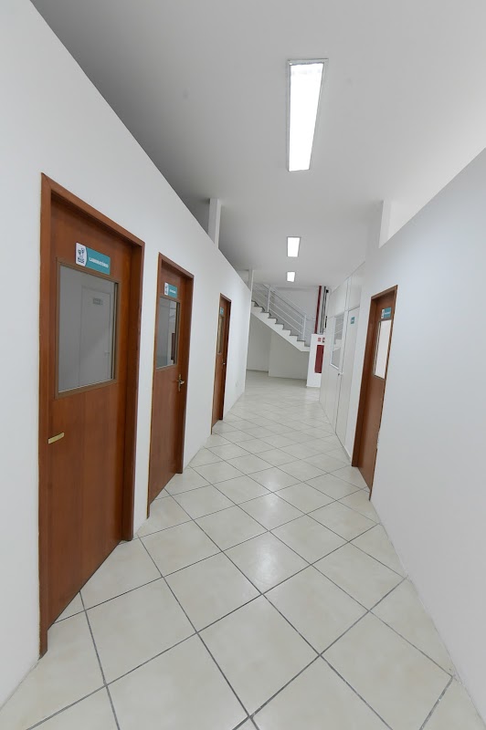 Hospital Popular veterinário Wilson Grassi - Clínica Veterinária em Centro, Guarulhos/SP - Foto 4