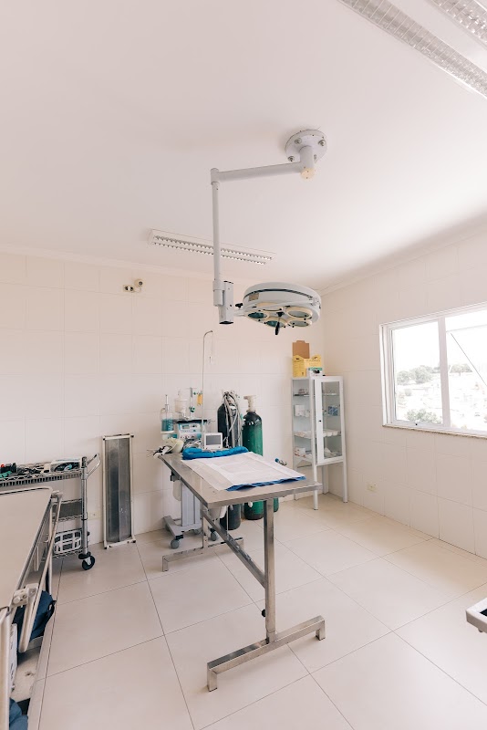 Hospital Veterinário Yayá - Clínica Veterinária em Centro, Guarulhos/SP - Foto 4