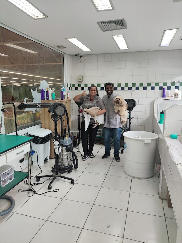 Pet Anjo Pratici - Clínica Veterinária em Centro, Guarulhos/SP - Foto 3