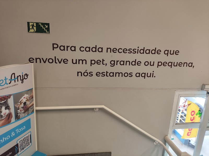 Pet Anjo Pratici - Clínica Veterinária em Centro, Guarulhos/SP - Foto 5