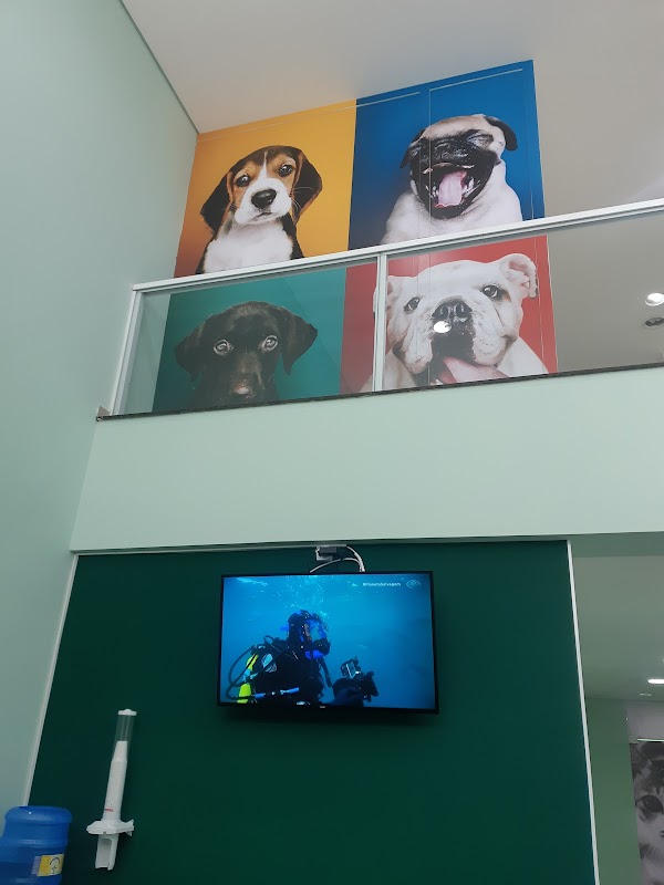 Foto 6 de Dr. Vet Consulta