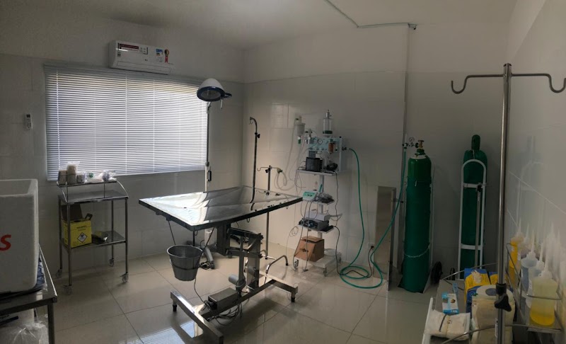 Ponto Vet Hospital Veterinário 24H - Clínica Veterinária em Cocaia, Guarulhos/SP - Foto 3