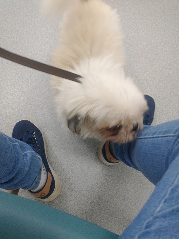 Ponto Vet Hospital Veterinário 24H - Clínica Veterinária em Cocaia, Guarulhos/SP - Foto 4