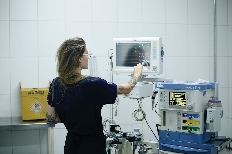 DOK - Hospital Veterinário de Guarulhos - Clínica Veterinária em Fátima, Guarulhos/SP - Foto 3