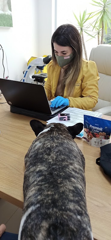 Clinica Quintal Animal - Clínica Veterinária em Gopoúva, Guarulhos/SP - Foto 3