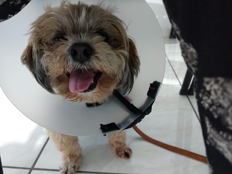 VetPinhal Clínica Veterinária