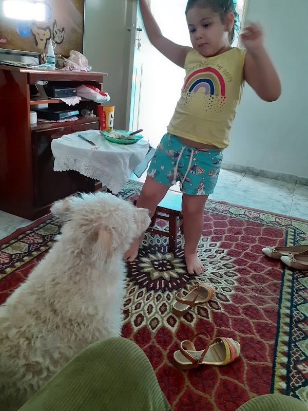 VetPinhal Clínica Veterinária Popular Guarulhos - Clínica Veterinária em Picanço, Guarulhos/SP - Foto 3