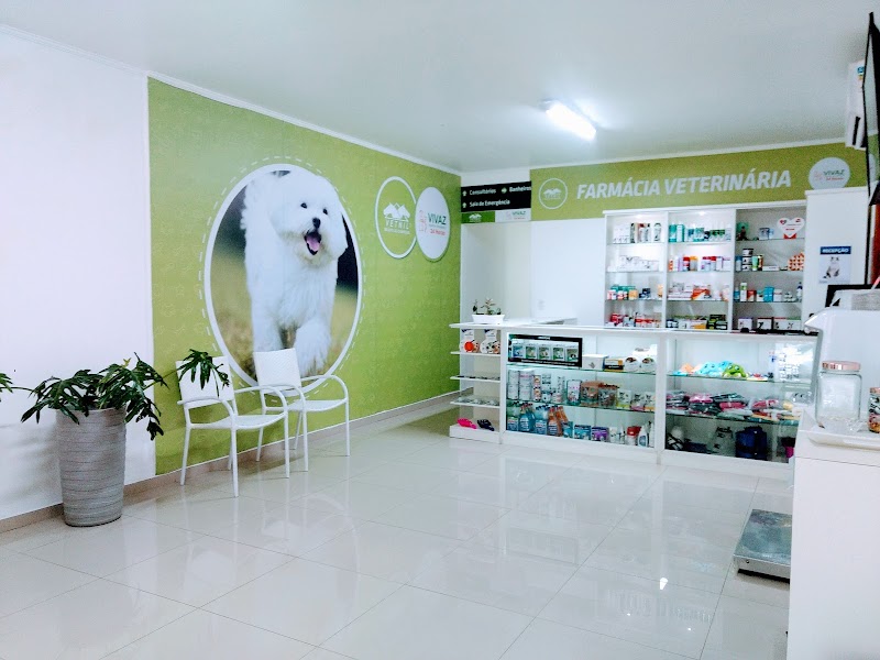 Vivaz Hospital Veterinário 24h - Clínica Veterinária em Picanço, Guarulhos/SP - Foto 2