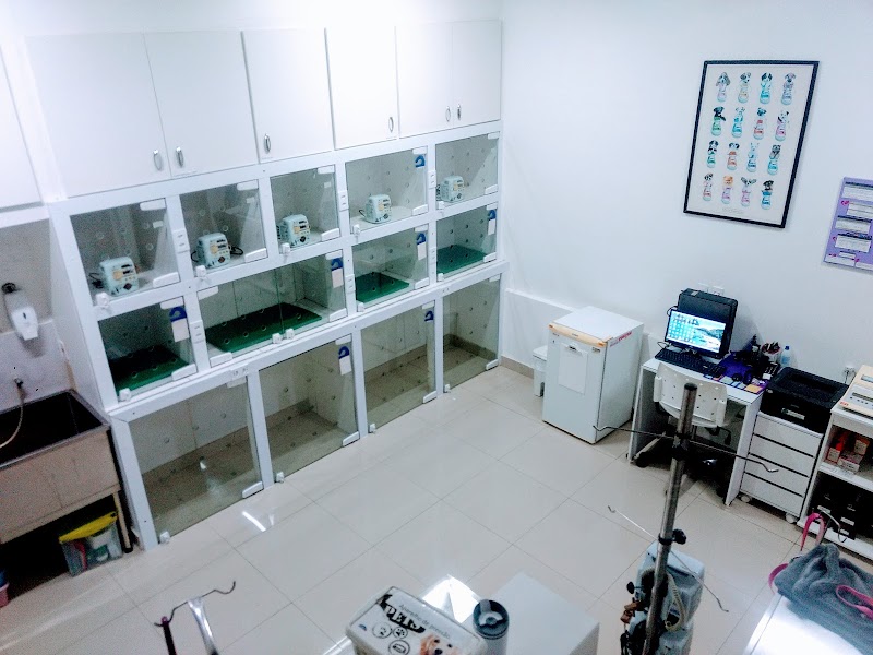 Vivaz Hospital Veterinário 24h - Clínica Veterinária em Picanço, Guarulhos/SP - Foto 4