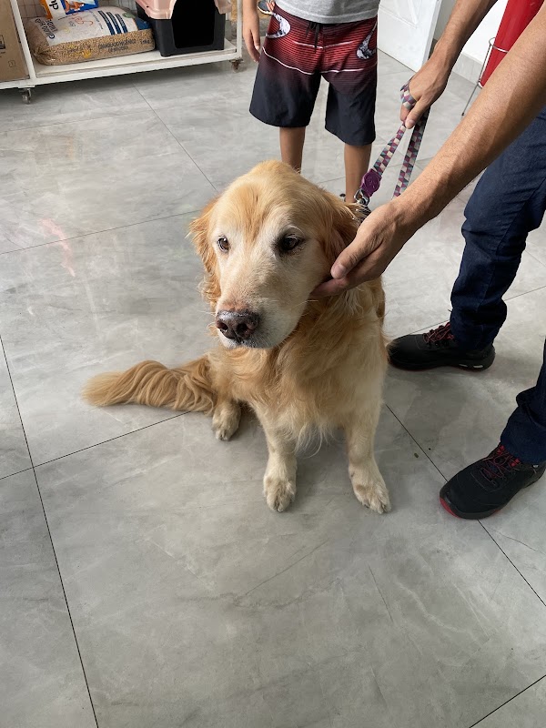 Centro Veterinário PRIME (Clínica Veterinária Guarulhos) - Clínica Veterinária em Vila Augusta, Guarulhos/SP - Foto 2