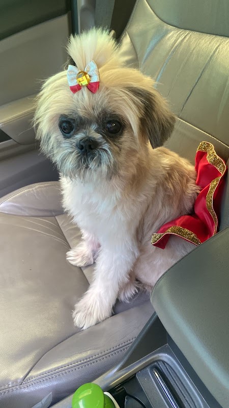 Centro Veterinário PRIME (Clínica Veterinária Guarulhos) - Clínica Veterinária em Vila Augusta, Guarulhos/SP - Foto 4