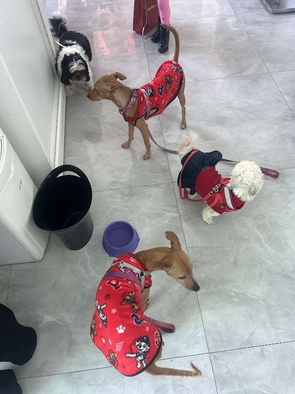 Foto 6 de Centro Veterinário PRIME (Clínica Veterinária Guarulhos)