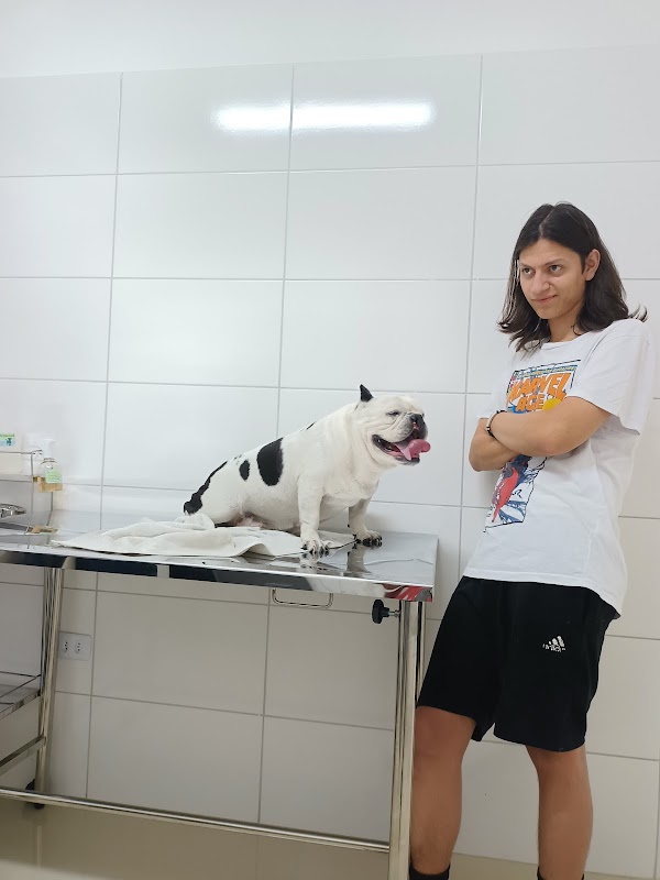 Ponto Vet Hospital Veterinário 24H - Unidade II - Clínica Veterinária em Vila Galvão, Guarulhos/SP - Foto 5