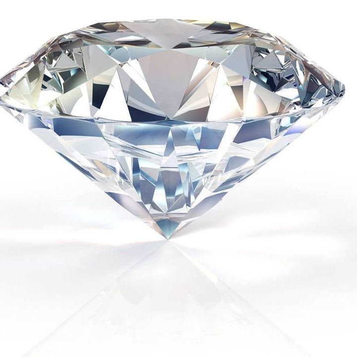 Cristal Dedetização - Dedetizadora em Centro, Guarulhos/SP - Foto 2