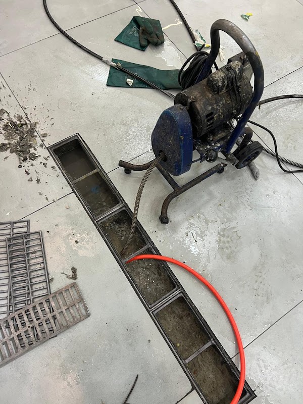 Ponte Grande Dedetização