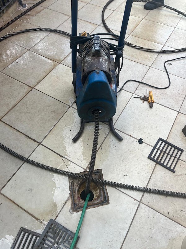 Ponte Grande Dedetização - Dedetizadora em Centro, Guarulhos/SP - Foto 2