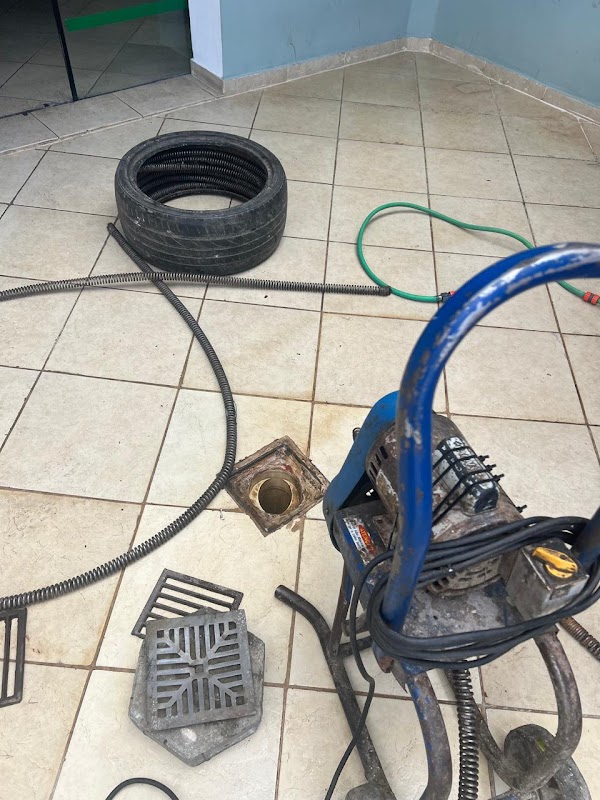 Ponte Grande Dedetização - Dedetizadora em Centro, Guarulhos/SP - Foto 3