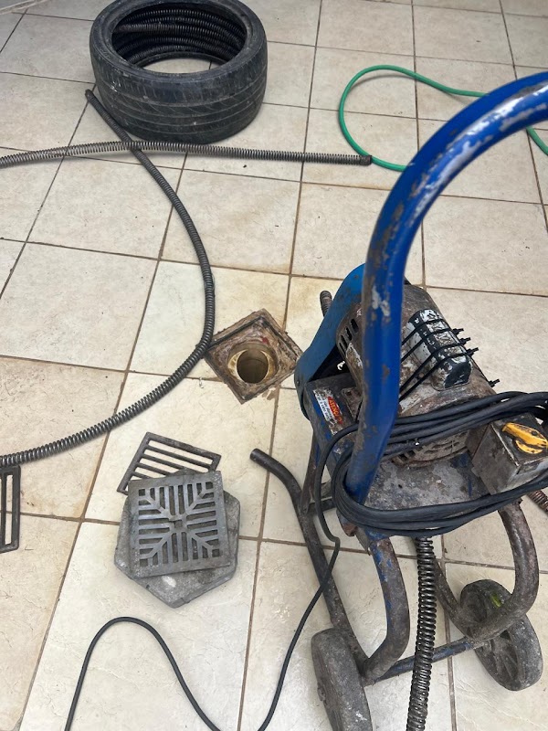 Ponte Grande Dedetização - Dedetizadora em Centro, Guarulhos/SP - Foto 4