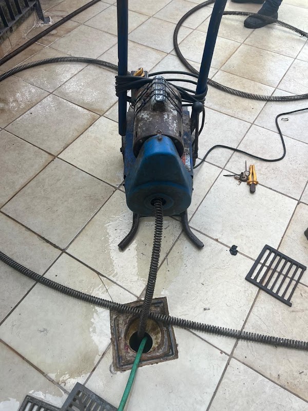 Ponte Grande Dedetização - Dedetizadora em Centro, Guarulhos/SP - Foto 5