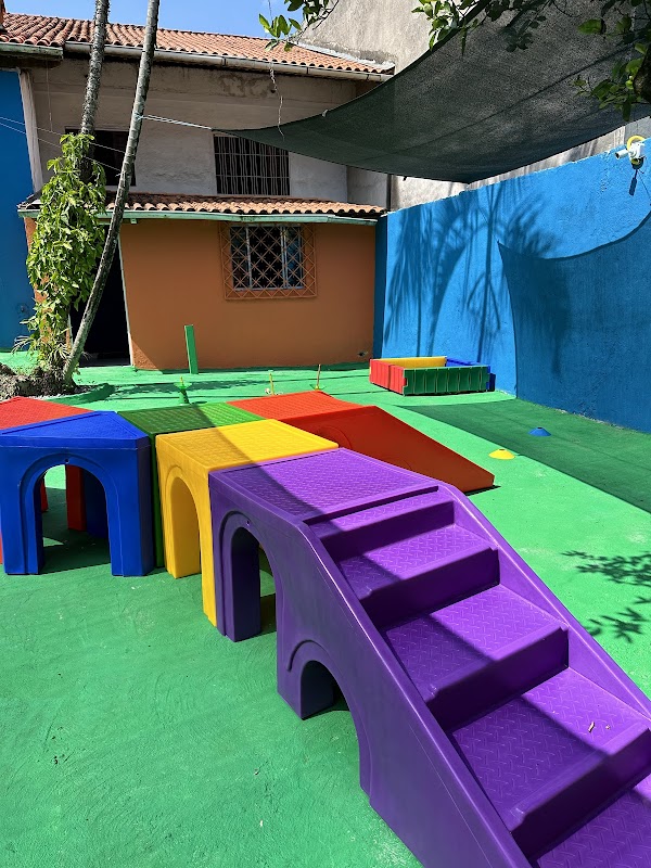 Vigor Dedetizadora - Guarulhos - Dedetizadora em Centro, Guarulhos/SP - Foto 3