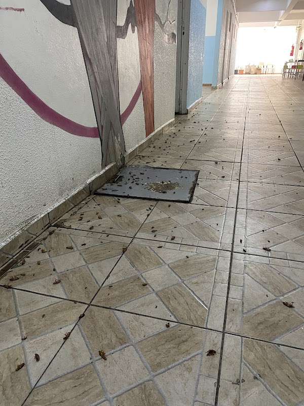 Foto 6 de Vigor Dedetizadora - Guarulhos