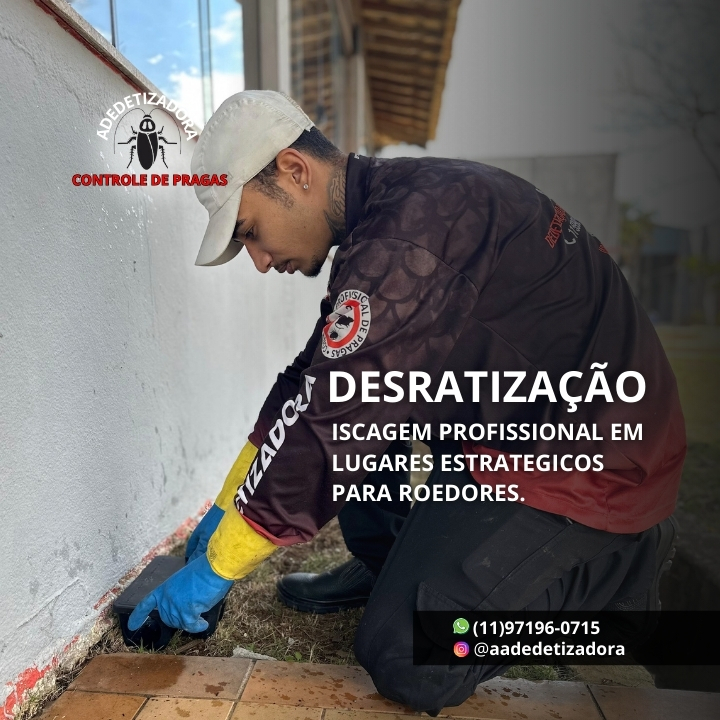 Dedetizadora Guarulhos – Livre de Cupins, Baratas e Ratos - Dedetizadora em São João, Guarulhos/SP - Foto 5