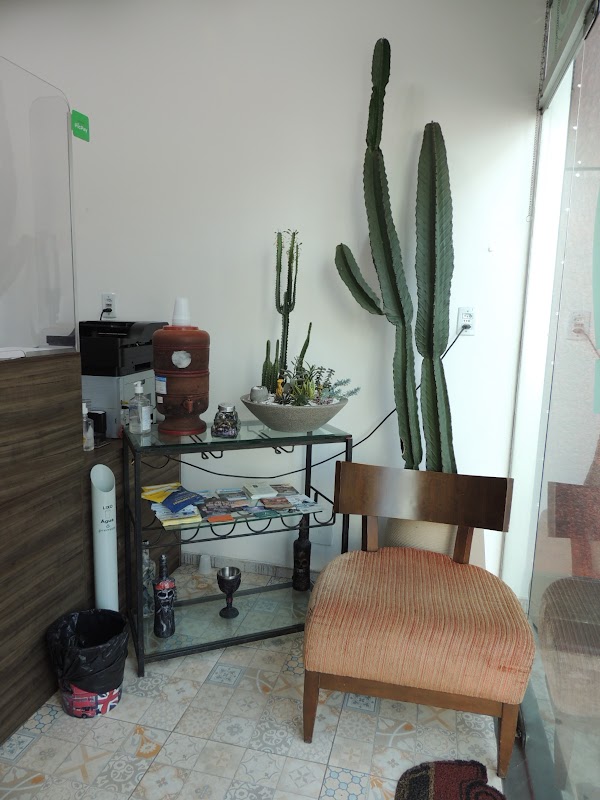 Foto 6 de Despachante Prime Assessoria Automobilistica