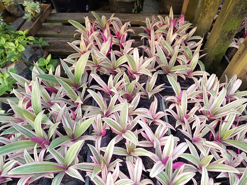 Grupo Ecolimpe - Empresa de Limpeza em Centro, Guarulhos/SP - Foto 4