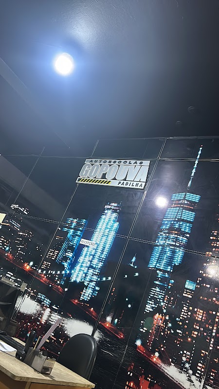 Foto 6 de Auto Escola Gopouva