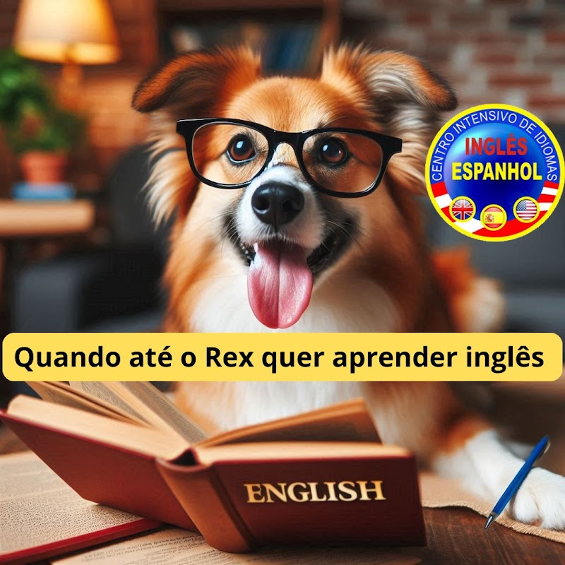 Centro Intensivo de Idiomas - Escola em Picanço, Guarulhos/SP - Foto 3