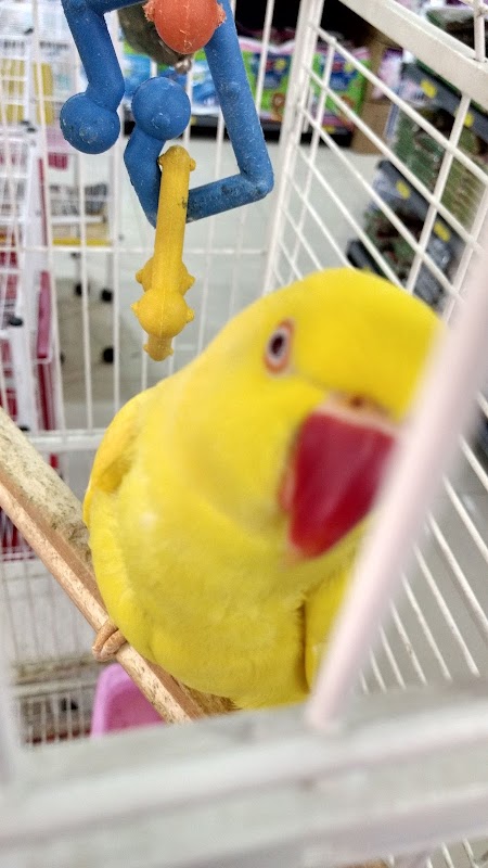 Rações Renata - Timóteo Penteado - Farmácia em Vila Galvão, Guarulhos/SP - Foto 3