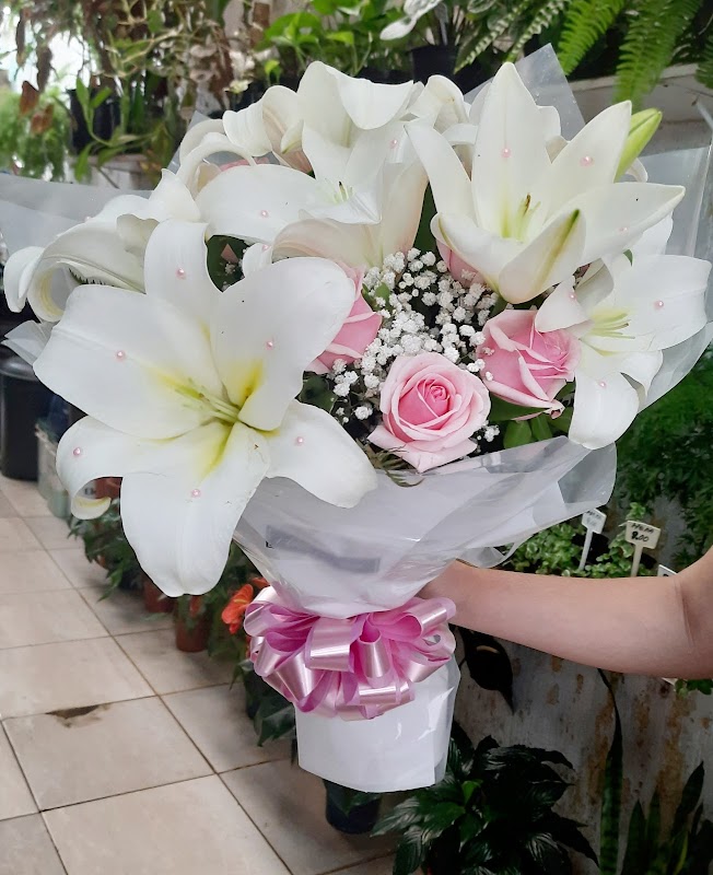 Floricultura Uehara - Floricultura em Centro, Guarulhos/SP - Foto 2