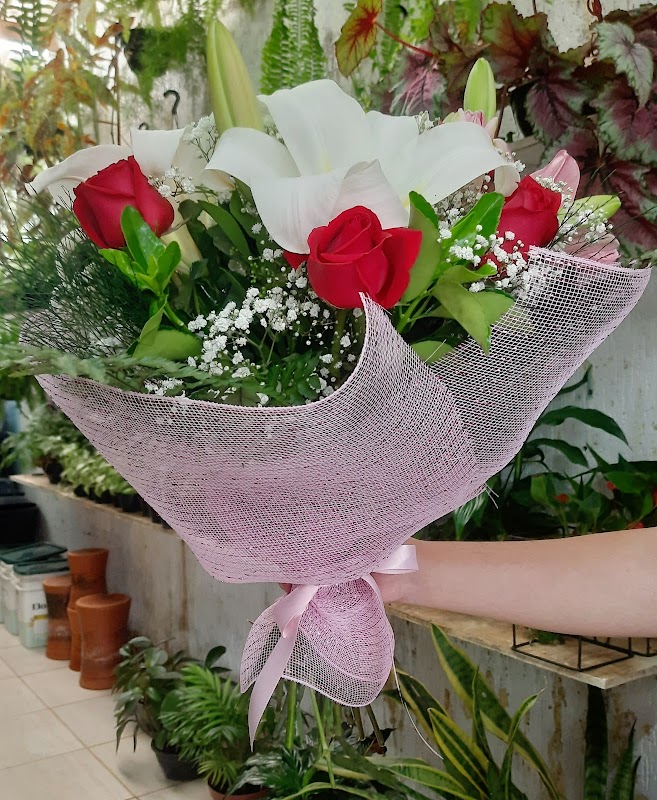 Floricultura Uehara - Floricultura em Centro, Guarulhos/SP - Foto 5