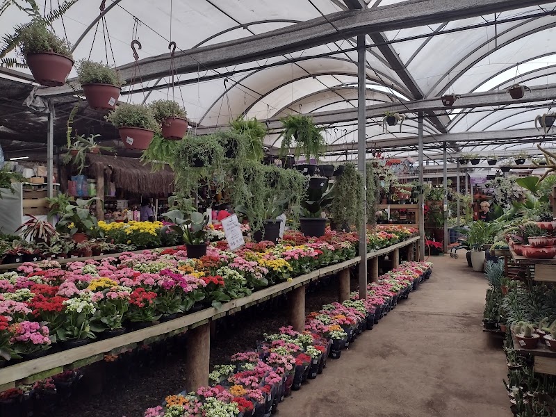 Ponto Garden - Floricultura em Centro, Guarulhos/SP - Foto 2
