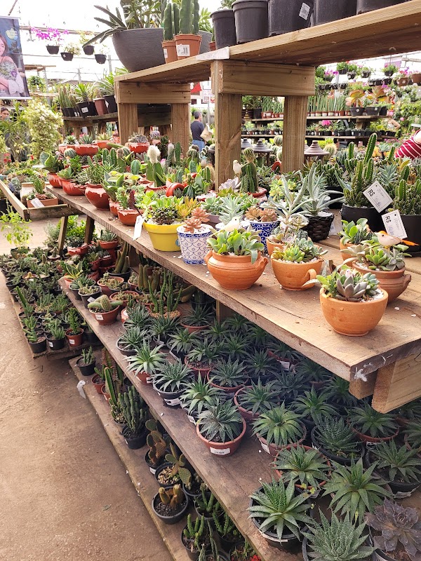 Ponto Garden - Floricultura em Centro, Guarulhos/SP - Foto 3