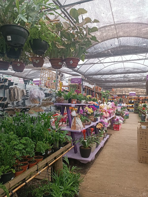 Ponto Garden - Floricultura em Centro, Guarulhos/SP - Foto 5