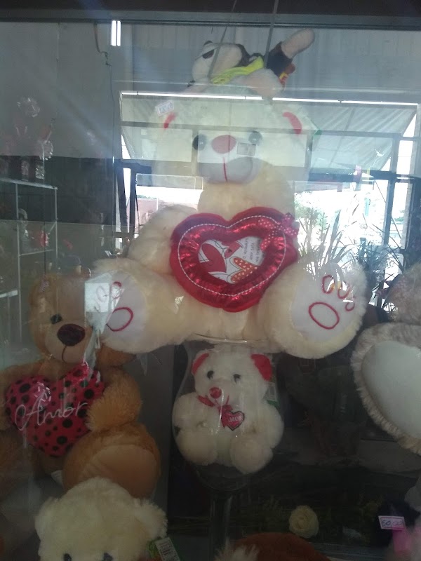 Floricultura Audrey - Floricultura em Cocaia, Guarulhos/SP - Foto 2