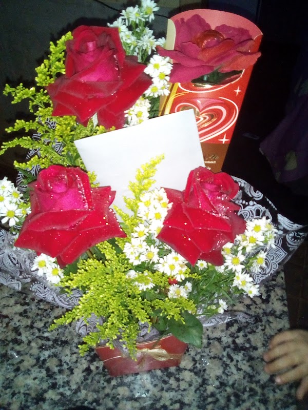 Floricultura Audrey - Floricultura em Cocaia, Guarulhos/SP - Foto 5